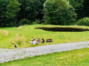 wiese-pause