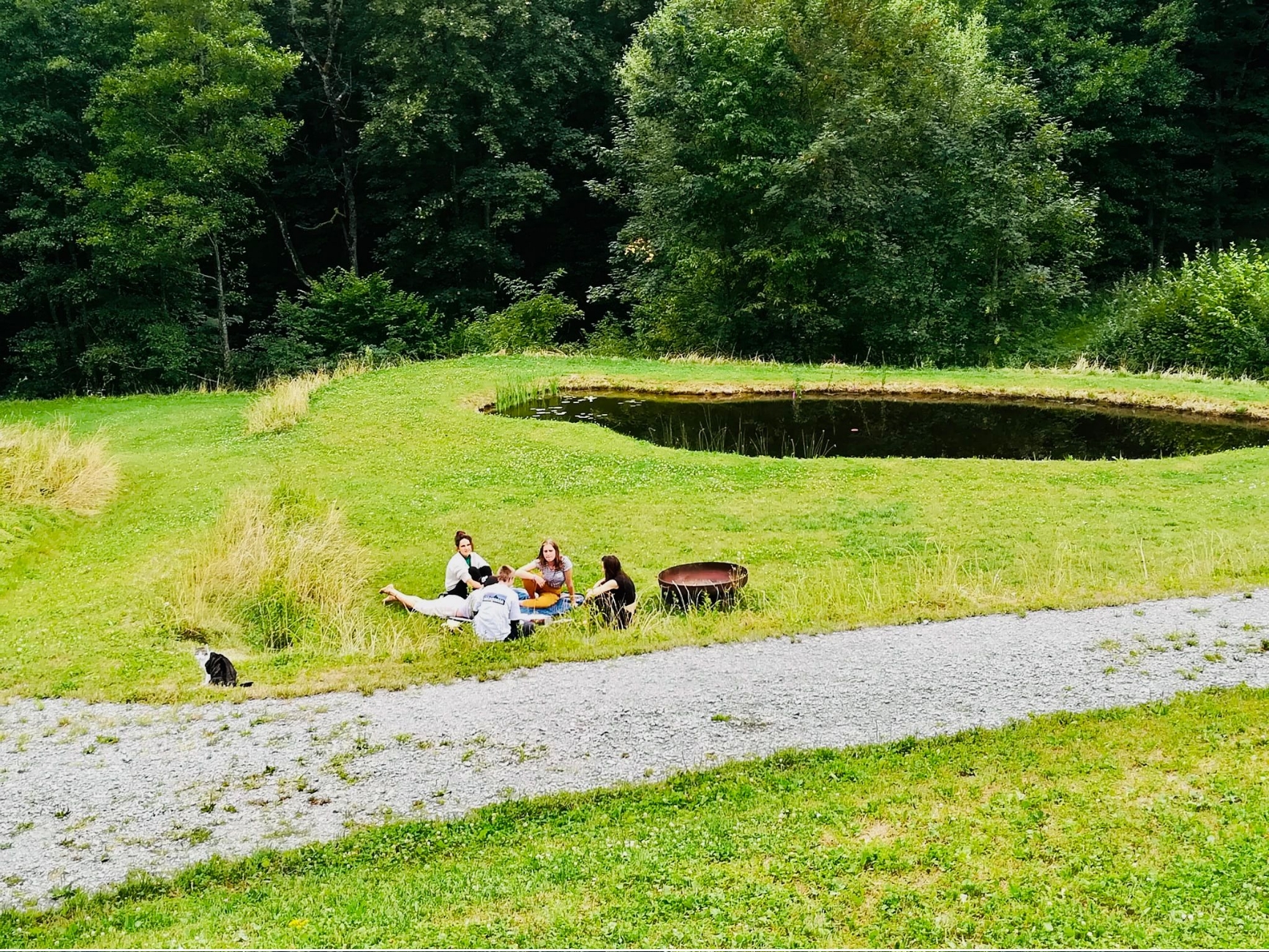 wiese-pause