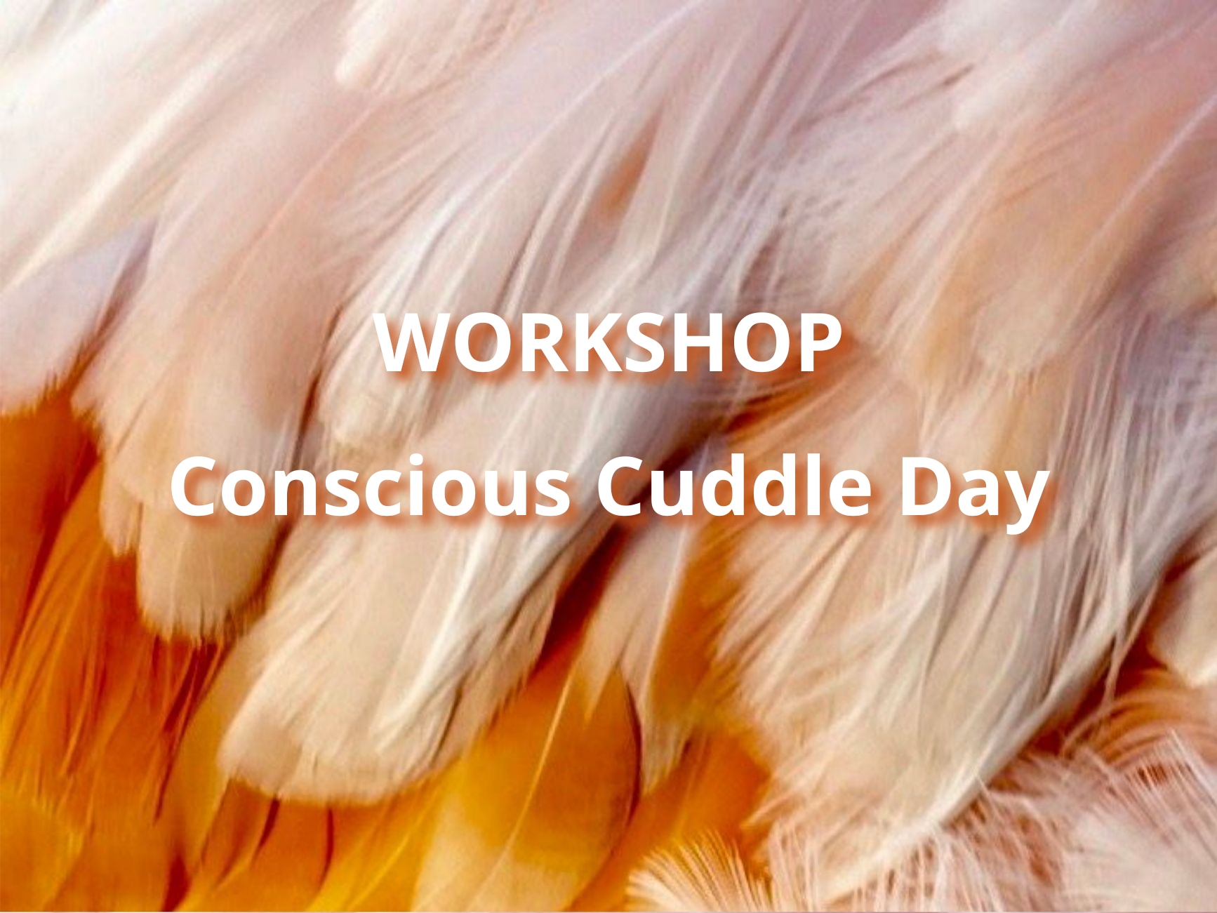 Workshop Conscious Cuddle Day