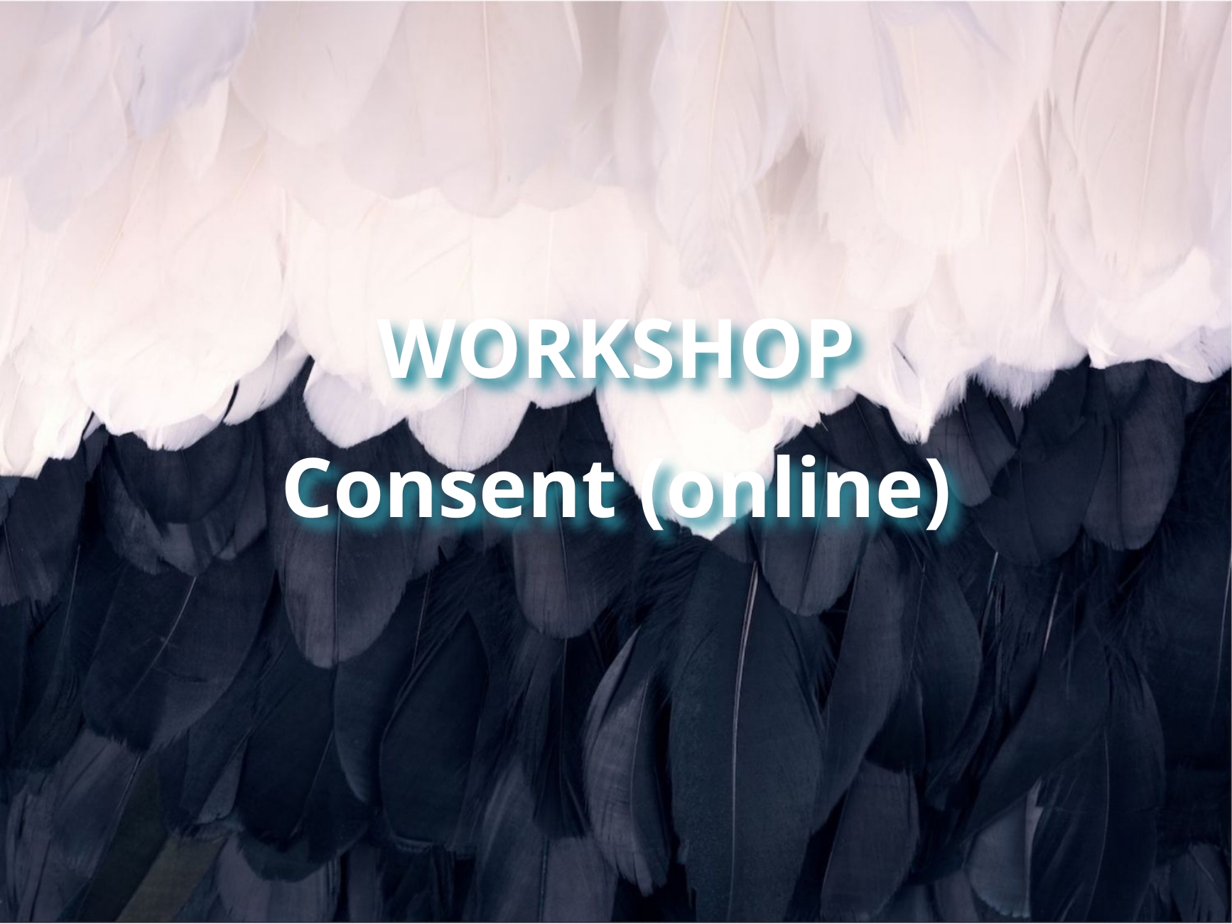 Workshop zu Consent