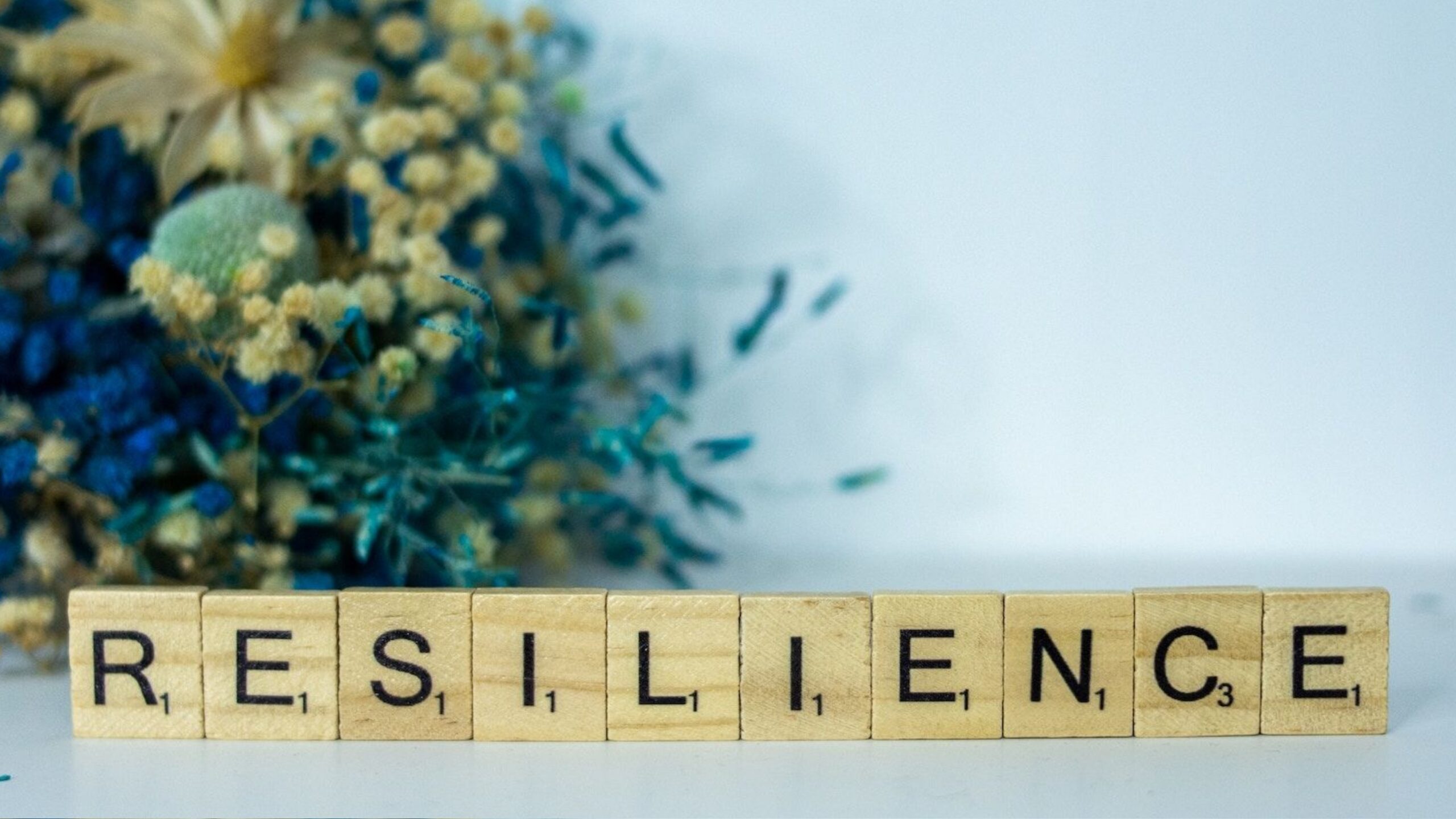 blog resilienz und beruehrung