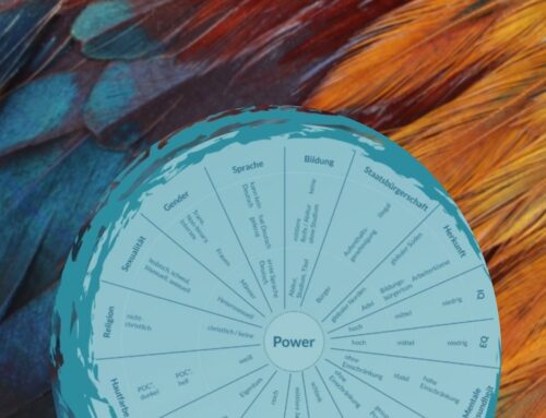 The Wheel of Power and Privilege – Consent beginnt mit Bewusstsein